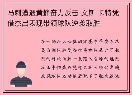 马刺遭遇黄蜂奋力反击 文斯 卡特凭借杰出表现带领球队逆袭取胜