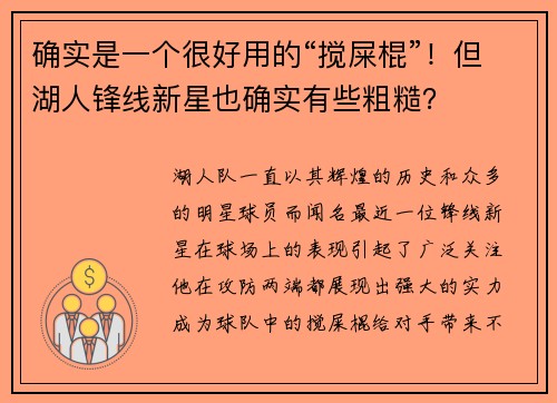 确实是一个很好用的“搅屎棍”！但湖人锋线新星也确实有些粗糙？