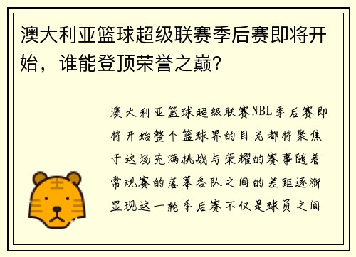 澳大利亚篮球超级联赛季后赛即将开始，谁能登顶荣誉之巅？